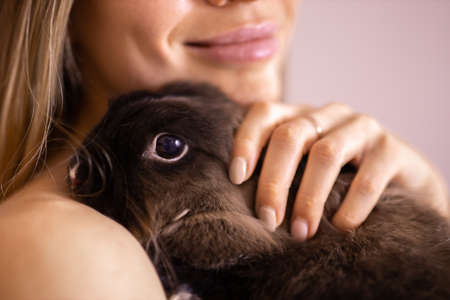 Close-up girl with adorable rabbit indoors, close up. Lovely pet and animal conceptの写真素材