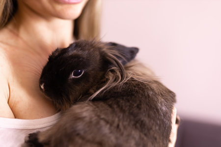 Close-up girl with adorable rabbit indoors, close up. Lovely pet and animal conceptの写真素材