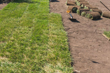 Laying sod for new garden lawn - turf laying conceptの写真素材