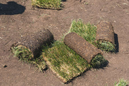 Laying sod for new garden lawn - turf laying conceptの写真素材
