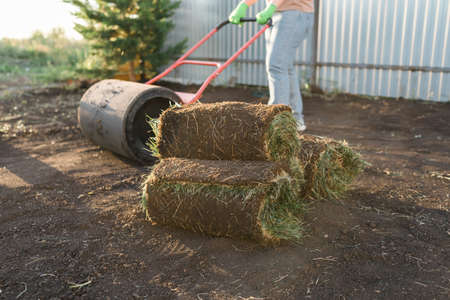Close up woman laying sod for new garden lawn - turf laying concept