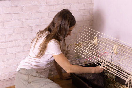 Grooming undercoat of bunny rabbit. Combing out rabbit fur brush. Hygiene and care for animals conceptの写真素材