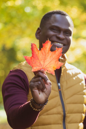 Close up portrait of african american man gives autumn maple leaf. Autumn nature. Seasonal fall...