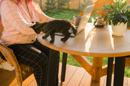 Work from home or study online and videocall with a woman gardener working at laptop outdoor on terrace with kitten close-up, sitting on ratang chair around houseplant and flower potsの写真素材
