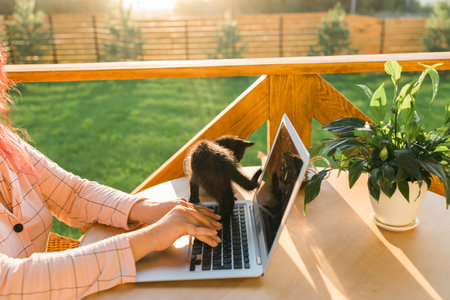 Work from home or study online and videocall with a woman gardener working at laptop outdoor on terrace with kitten close-up, sitting on ratang chair around houseplant and flower potsの写真素材