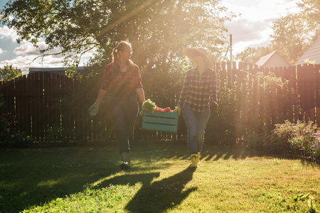 Two women farmer working in gardening. Gardener carrying crate with freshly harvested vegetables in garden.の写真素材
