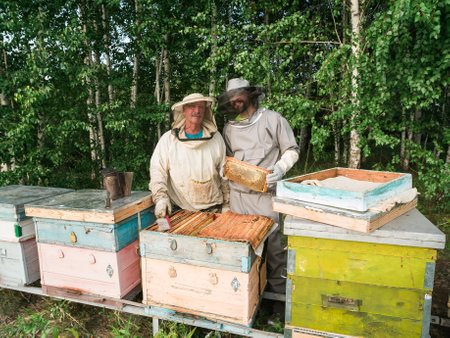 Beekeepers inspecting honeycomb frame at apiary at the summer day. Man working in apiary....