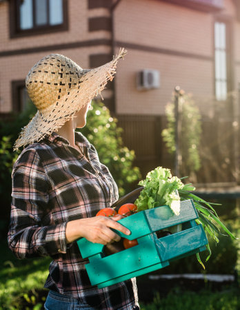 Hardworking young woman gardener in straw hat picks up her harvest box of tomatoes on sunny summer day. Concept of organic farming and vegetable growingの写真素材