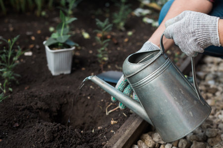 Woman in her garden water with watering can plants in garden. Concept gardening spring and bio and ecologicalの写真素材