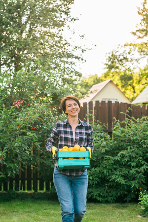 Organic female farmer holding box full of fresh produce on her farm copy space and empty place for...