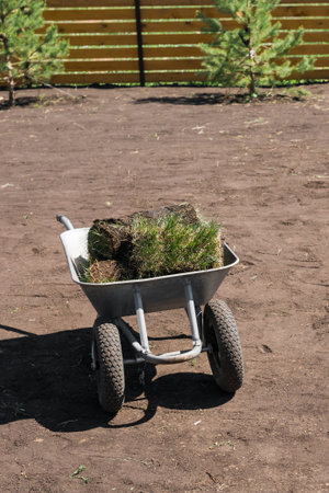 Rolls of lawn grass on sunny day - country house and landscape designの写真素材