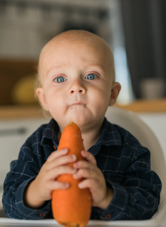 Happy baby sitting in high chair eating carrot in kitchen. Healthy nutrition for kids. Bio carrot as first solid food for infant. Children eat vegetables. Little boy biting raw vegetableの写真素材
