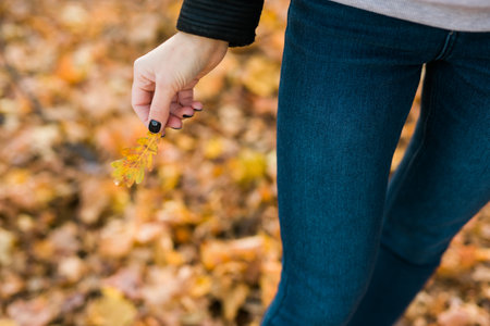 Woman holds yellow oak leaf close-up in hand in fall season copy space - autumn and nature conceptの写真素材