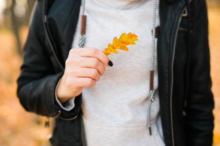 Woman holds yellow oak leaf close-up in hand in fall season copy space - autumn and nature conceptの写真素材