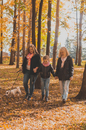Grandmother and mother with granddaughter walks together in autumn park and having fun. Generation, leisure and family concept.の写真素材