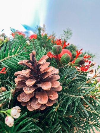 Close-up Christmas wreath of fresh spruce and cones. Decorations and holidays concept