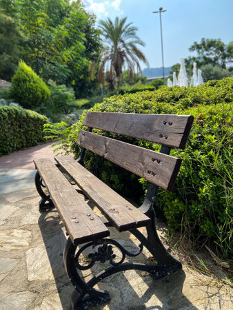 Green park scene featuring a wooden bench surrounded by vibrant greenery and flowers under a clear blue sky. Setting invites relaxation and reflection in nature embraceの写真素材