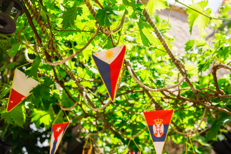 Colorful pennant flags hanging under grapevine branches - Serbia, Philippines, Cuba, Poland. Celebration, multicultural unity, and festive outdoor decor.の写真素材