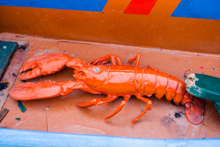 Orange lobster sculpture on painted surface. Marine decor, coastal charm, and whimsical seafood themed installation.の写真素材