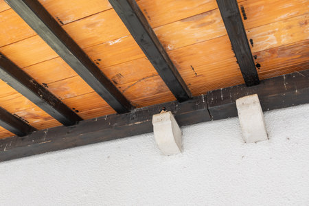 A small bird perches quietly beneath a rustic wooden roof. Architecture detail, natural nesting...