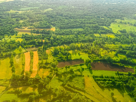 Golden hay rows and fertile fields surrounded by forest. Agricultural productivity, rural...