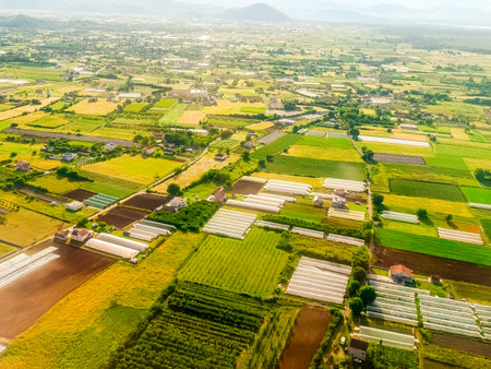 Aerial photo of greenhouses and cultivated fields near countryside homes. Agricultural productivity,...
