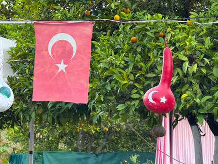 Turkish flag and decorative painted gourd hanging in garden. National identity, culture, and patriotic symbols in everyday outdoor environment.の写真素材