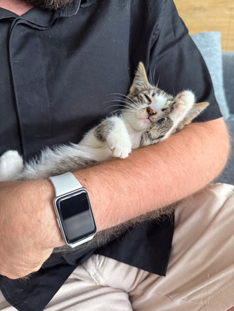 Kitten resting calmly in arms of man with beard outdoors. Trust, safety, and emotional comfort...