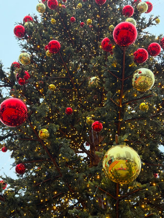 Close up of Christmas tree branches with red and gold ornaments. Festive winter decor, seasonal...