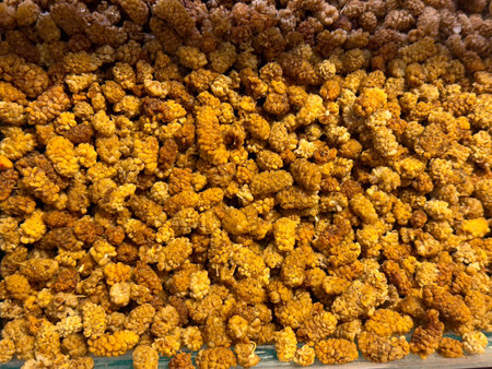 Dried mulberries forming a dense golden layer with complex organic texture in Istanbul bazaar. Natural drying methods, traditional snacking, and plant based nutrition highlighted through abundance and surface detail.の写真素材