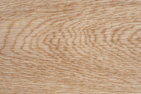 Wood texture. Wood texture for design and decorationの写真素材