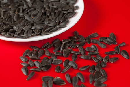 Black sunflower seeds on a red background. Top viewの写真素材