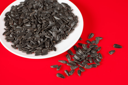 Black sunflower seeds on a red background. Top viewの写真素材