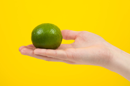 Ripe juicy lime in hand isolated on yellow background. Healthy eating and dieting conceptの写真素材