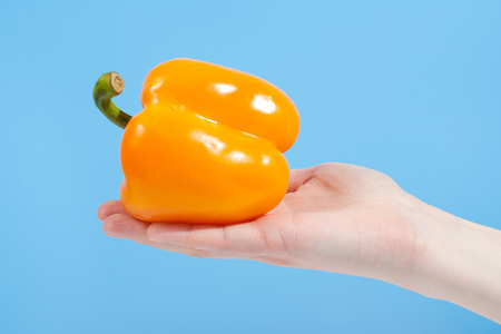 Hand holding organic delicious pepper Isolated on blue Background. Healthy eating and dieting conceptの写真素材