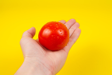 Fresh red tomato, isolated on yellow background. White male hand showing a fresh delicious tomato.の写真素材