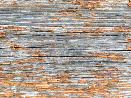 Grunge background. Peeling paint on an old wooden floor. Vintage wood background. Old wood textureの写真素材
