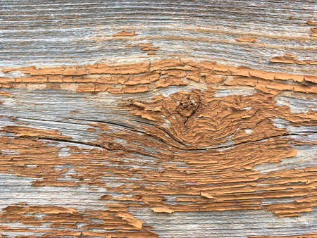 Grunge background. Peeling paint on an old wooden floor. Vintage wood background. Old wood textureの写真素材