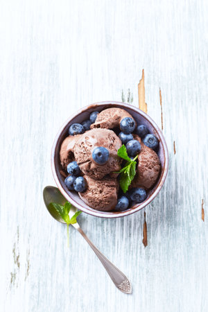 Chocolate ice cream with blueberries and mint in bowl, selective focusの写真素材