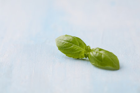 Fresh basil leaves on blue wooden background. Selective focus. Copyspace.の写真素材