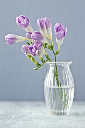 Purple freesia flowers in vase on table.の写真素材