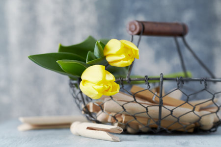 Basket with yellow tulips on gray wooden table, closeupの写真素材