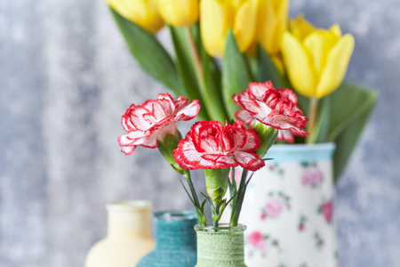 Bouquet of red and yellow tulips in a vase on a gray background