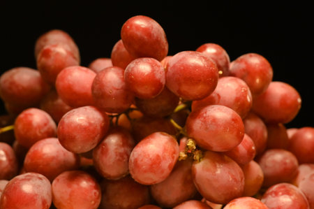 Ripe red grape. Pink bunch with black background.の写真素材