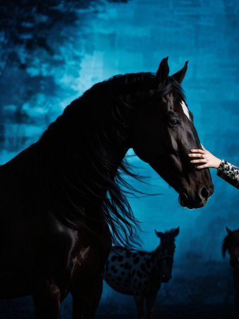 beautiful girl in a black coat and horseの素材