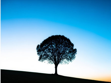 tree branches, flora in natureの素材