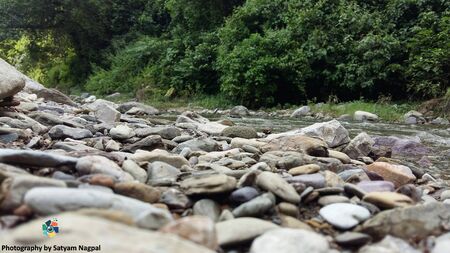 Living like a Stoneの写真素材