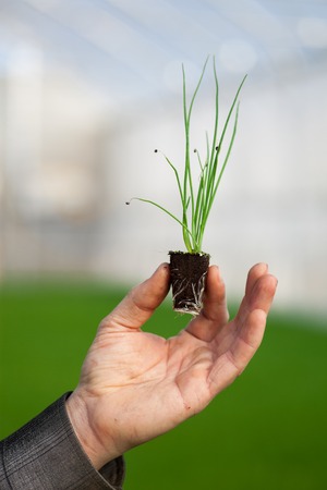 Human hands holding young plant with soil over blurred with nature background. Ecology World...