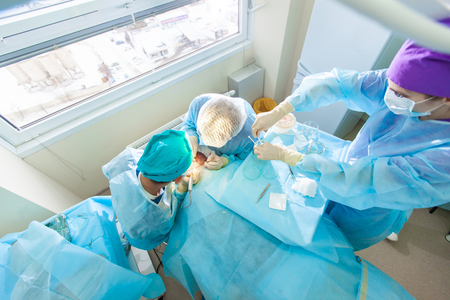 Baldness treatment. Hair transplant. Surgeons in the operating room carry out hair transplant surgery. Surgical technique that moves hair follicles from a part of the head.の写真素材