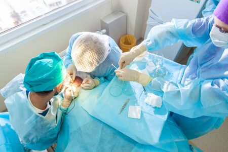 Baldness treatment. Hair transplant. Surgeons in the operating room carry out hair transplant surgery. Surgical technique that moves hair follicles from a part of the head.の写真素材